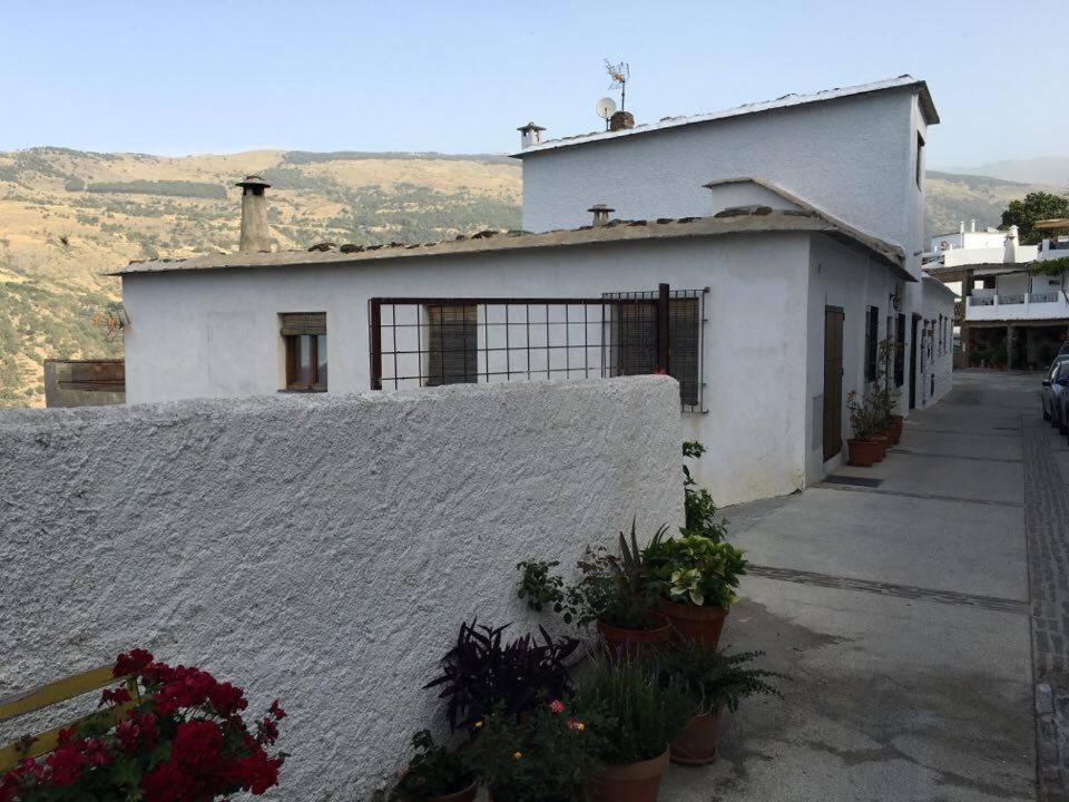 부비온 Casa Alba E Irene 빌라 외부 사진